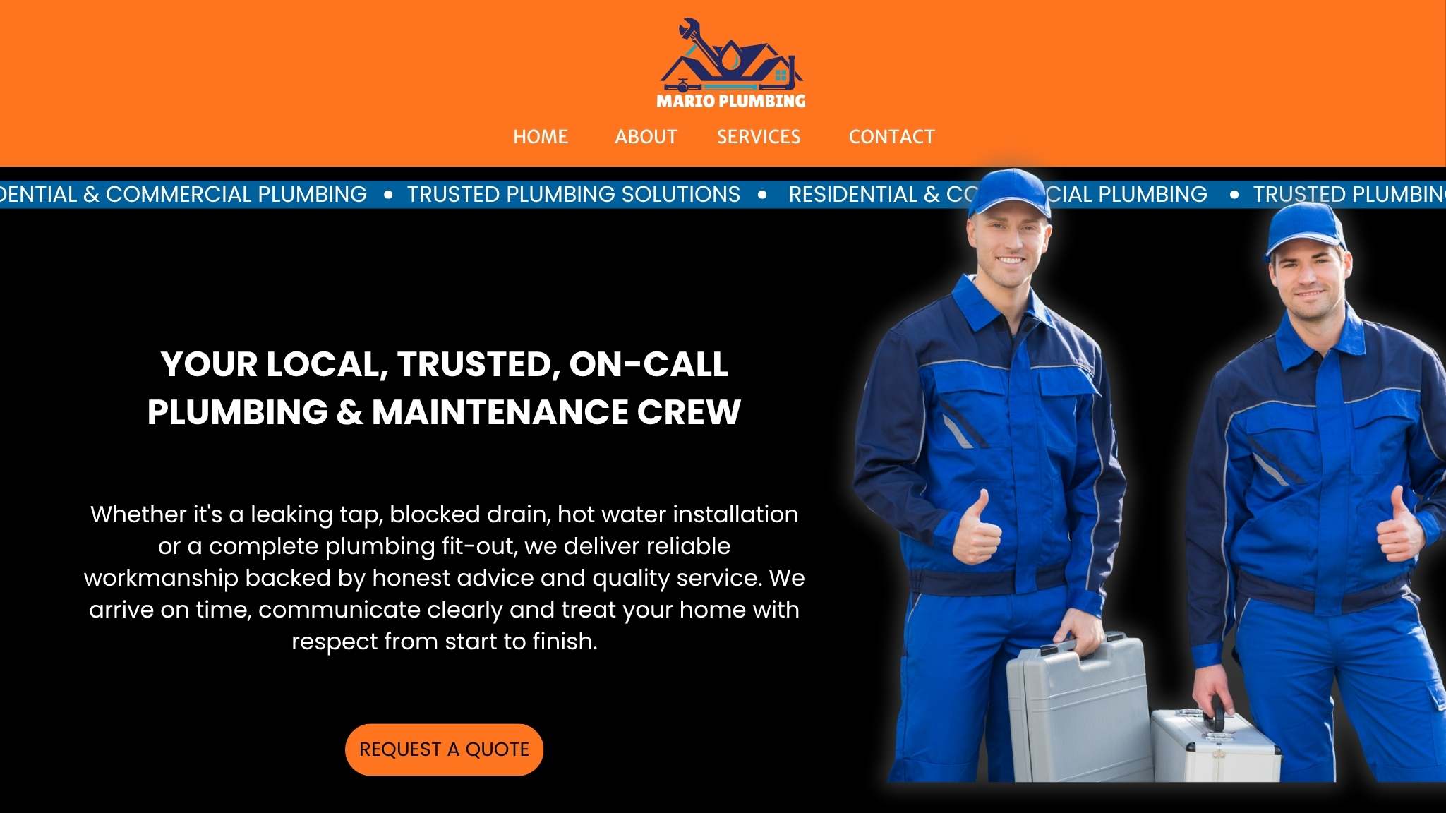 Mario Plumbing website